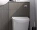 Concealed cistern toilet dual flush button