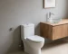 sanitary ware