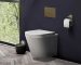 wall hung toilet benefits--封面